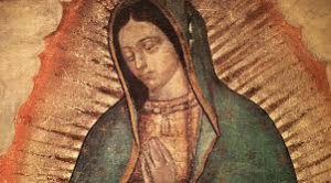 Señor mio y Dios mio, reconozco tu fidelidad en cada minuto de fe de este día