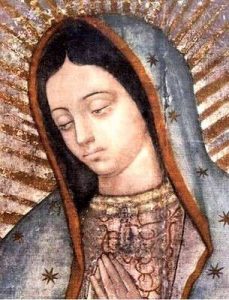 virgen de guadalupe oracion diaria de fe 