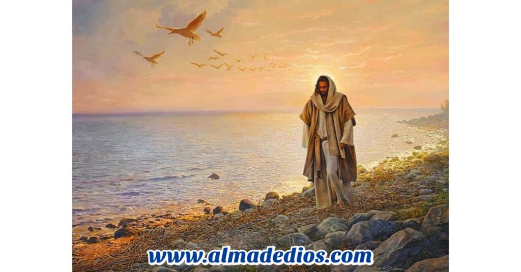 ORACIÓN DEL DIA DOMINGO 01 DE NOVIEMBRE