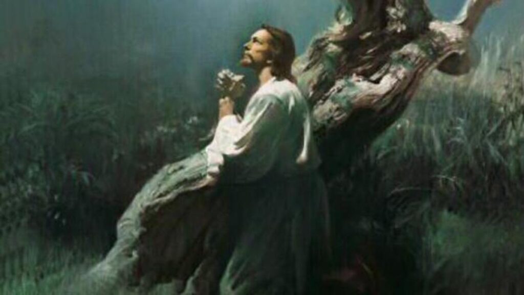 ORACIÓN DEL DIA MIERCOLES 25 DE NOVIEMBRE