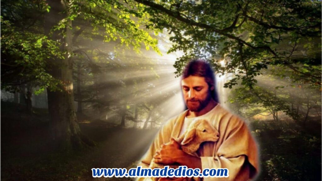 ORACÍON DEL DIA DOMINGO 08 DE NOVIEMBRE